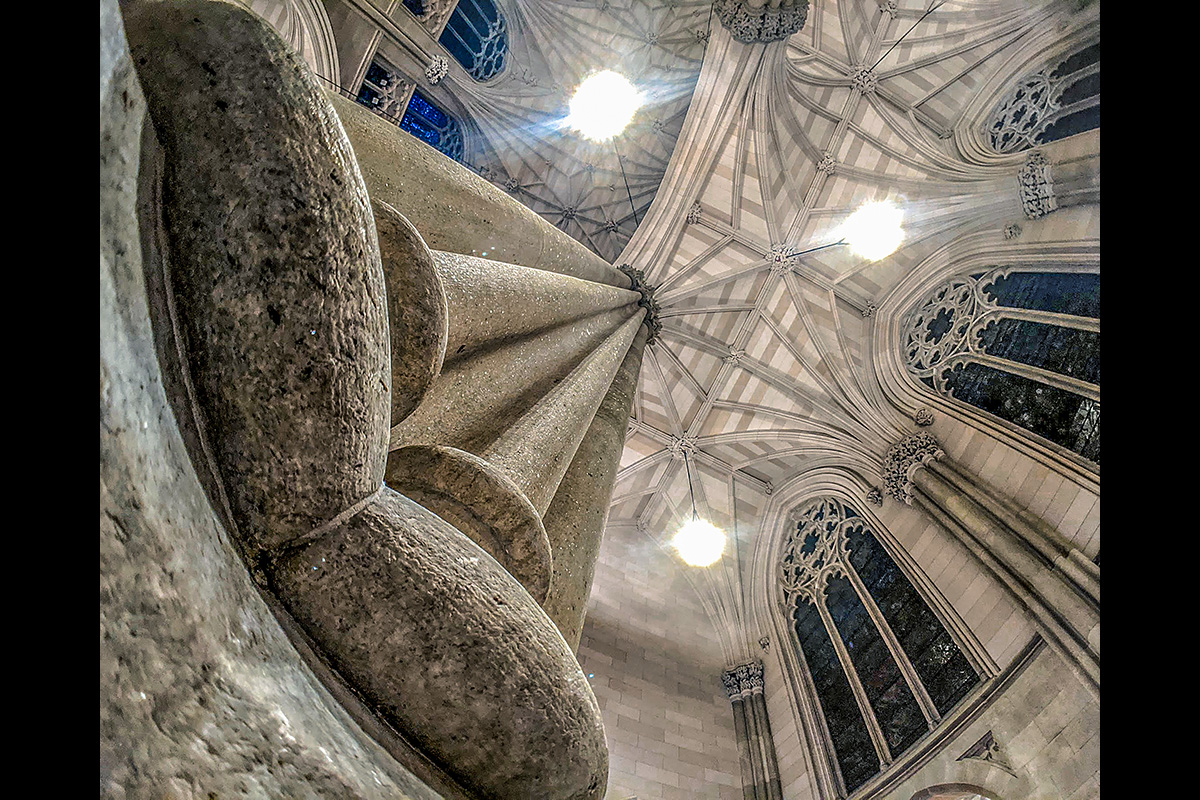 Column web